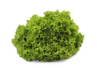 Салат романо 1 кг - купить в Холодных Ключах